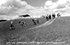 Postcards - 1950's: Gay El Rancho Guest Ranch Horseback